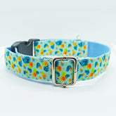 Modern Vivid Citrust Fruits Dog Collar - XS-L sizes with custom matching pet tag - Adventures of Rubi
